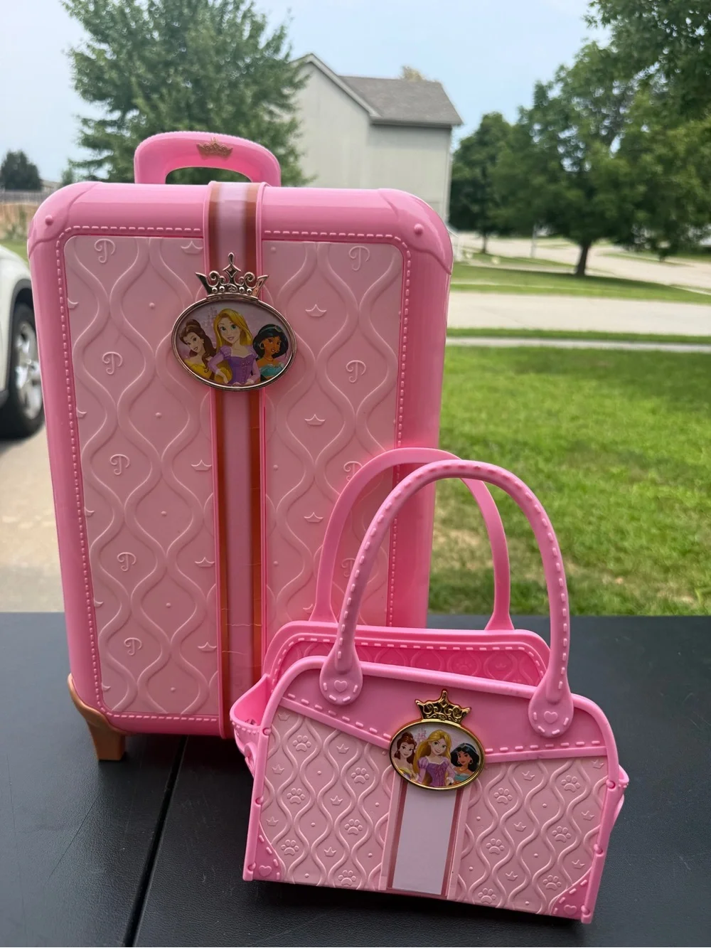 Disney Pink Princess Kids Luggage and Handbag Set